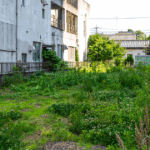 親の土地を相続するには?手続き・トラブル・注意点をわかりやすく解説