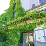 親の家を売る方法と注意点｜売却時にかかる税金と活用方法を解説！