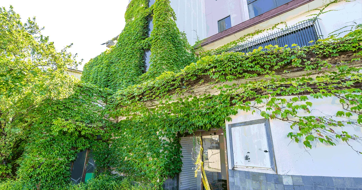 親の家を売る方法と注意点｜売却時にかかる税金と活用方法を解説！