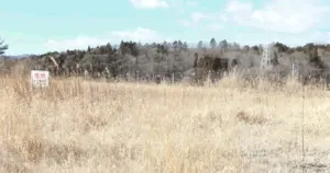 田舎の土地を相続するメリット・デメリット｜相続後の選択肢を紹介