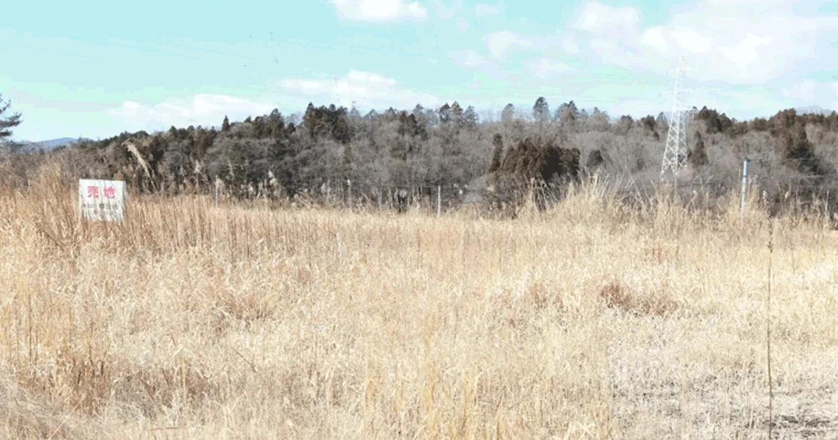田舎の土地を相続するメリット・デメリット|相続後の選択肢を紹介