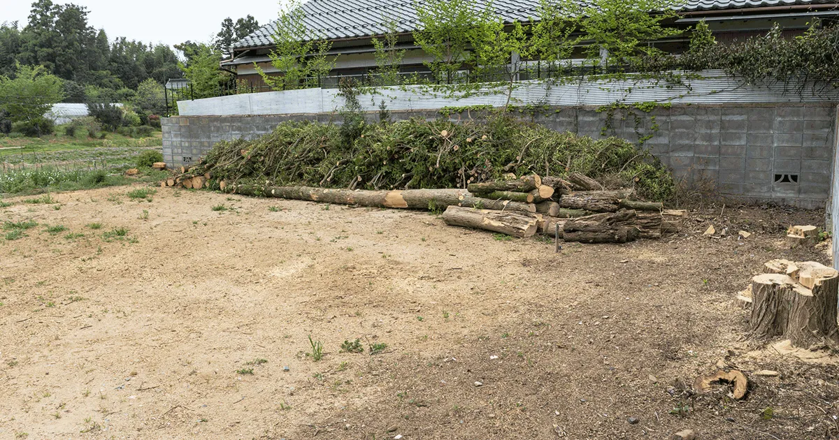 田舎の土地を売却するときのポイント｜土地売却の流れや注意点を解説
