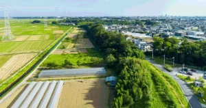 相続した市街化調整区域が売れない！売却しやすい建物の特徴は？